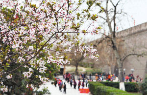 h(hun)ǹ@ęѻ(jng)_(ki)^