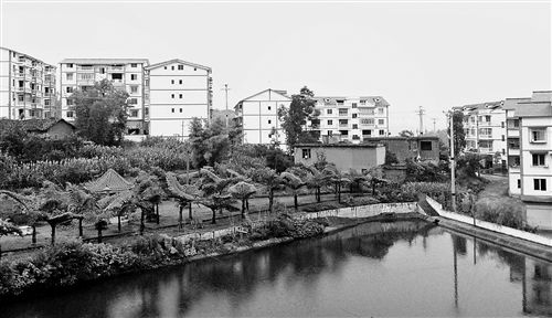 (zhn)m@r(nng)¾ӛ